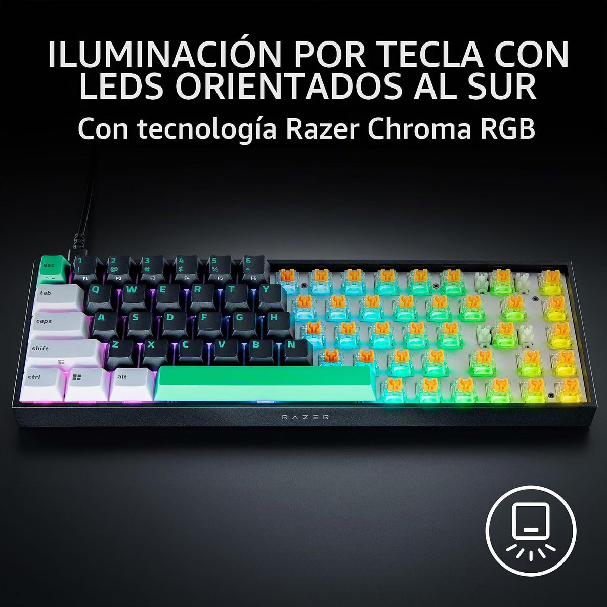 Razer Reclusa X RGB USB Teclado Mecanico 65% Orange Switch